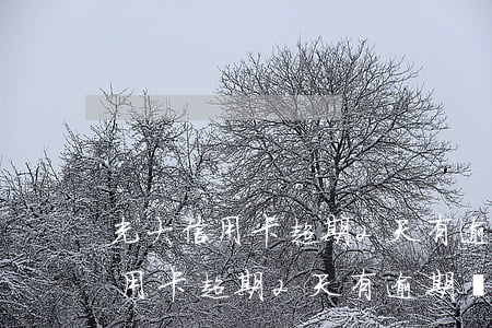 光大信用卡超期2天有逾期記錄嗎-光大信用卡超期2天有逾期記錄嗎怎么辦