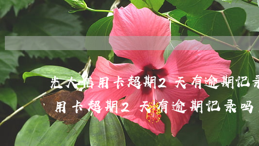 光大信用卡超期2天有逾期记录吗-光大信用卡超期2天有逾期记录吗怎么办