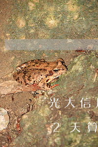 光大信用卡超過2天算逾期 光大信用卡超過2天算逾期不