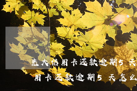 光大信用卡还款逾期5天怎么消除-光大信用卡还款逾期5天怎么消除记录