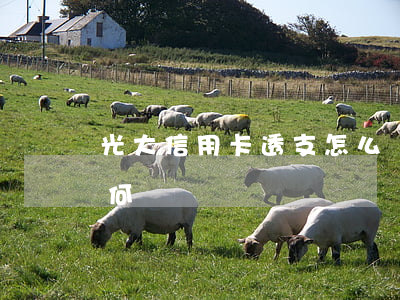 光大信用卡透支怎么辦理(光大銀行信用卡如何)