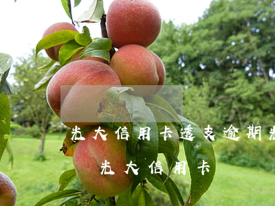 光大信用卡透支逾期(光大銀行貸款逾期,會影響光大信用卡嗎)