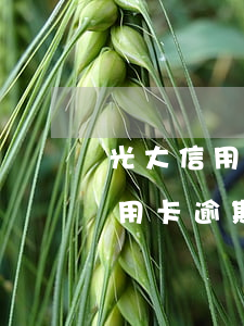 光大信用卡逾期108塊8年未還-光大信用卡逾期108塊8年未還會(huì)怎樣