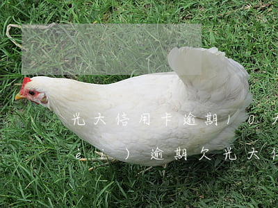 光大信用卡逾期10天手續(xù)費(fèi)(逾期欠光大信用卡80000)