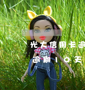 光大信用卡逾期10天還款后果(光大信用卡逾期10天還款后果嚴(yán)重嗎)