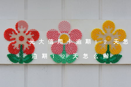 光大信用卡逾期12天怎么辦?。ü獯笮庞每ㄓ馄?2天怎么辦）