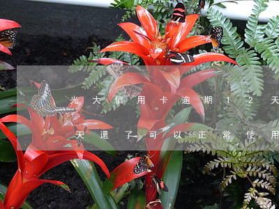 光大信用卡逾期12天會怎樣-光大逾期十天還了可以正常使用嗎