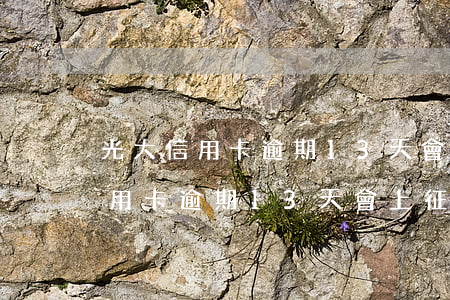 光大信用卡逾期13天會上征信嗎-光大信用卡逾期13天會上征信嗎怎么辦