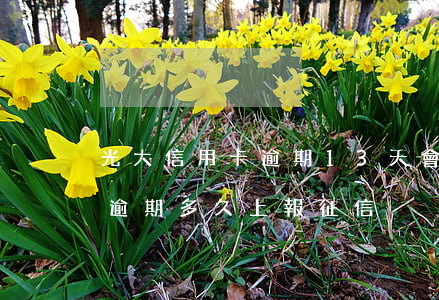 光大信用卡逾期13天會上征信嗎(光大信用逾期多久上報征信)
