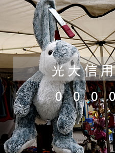 光大信用卡逾期17万(逾期欠光大信用卡80000)