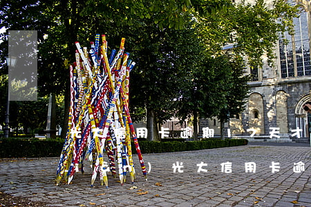 光大信用卡逾期17天才發(fā)現(xiàn)(光大信用卡逾期17天才發(fā)現(xiàn)了)