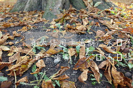 光大信用卡逾期1天會不會上征信-光大信用卡逾期1天會不會上征信記錄
