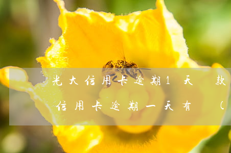 光大信用卡逾期1天還款后果6-光大銀行信用卡 逾期一天有沒(méi)有影響?