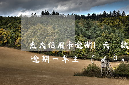 光大信用卡逾期1天還款后果6(光大銀行卡逾期一年主動(dòng)還款了三分之一)