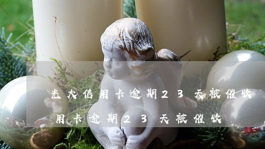 光大信用卡逾期23天被催收電話-光大信用卡逾期23天被催收電話怎么辦