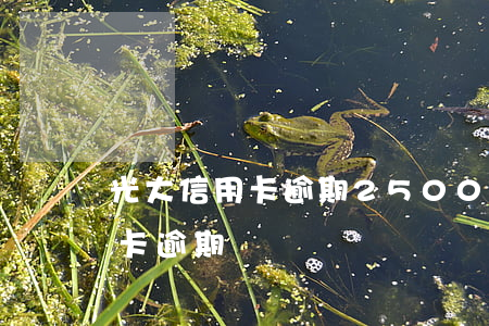 光大信用卡逾期25000贴吧-光大信用卡 逾期