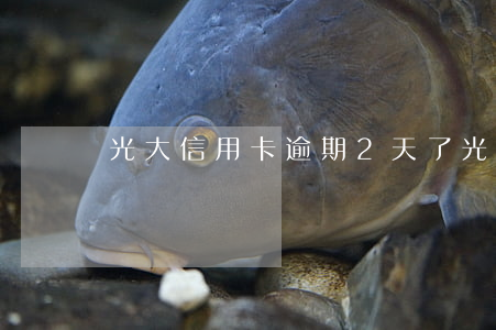 光大信用卡逾期2天了(光大逾期兩個月)