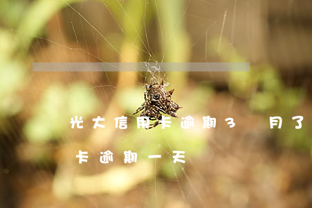 光大信用卡逾期3個月了還能用嗎(光大信用卡 逾期一天)