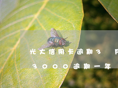 光大信用卡逾期3個月被起訴(光大信用卡43000逾期一年)