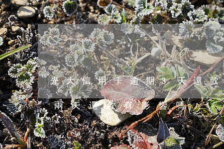 光大信用卡逾期3天還款會怎么樣(光大逾期兩天還款有影響嗎)