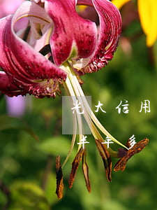 光大信用卡逾期3月-光大信用卡4萬逾期半年多