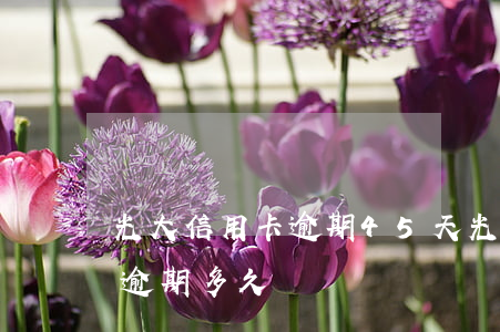 光大信用卡逾期45天(光大銀行信用卡5萬逾期多久)