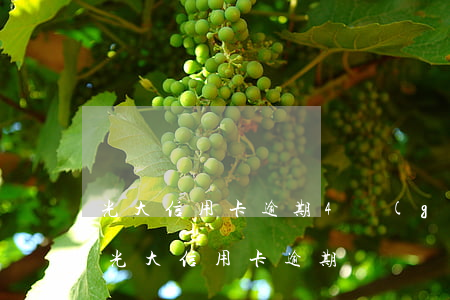 光大信用卡逾期4個(gè)月了怎么辦-光大信用卡 逾期
