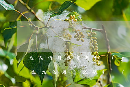 光大信用卡逾期4個(gè)月了找客服-光大信用卡逾期4個(gè)月了找客服有用嗎