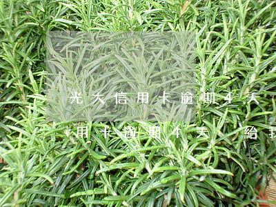 光大信用卡逾期4天沒給我打電話-光大信用卡逾期4天沒給我打電話怎么辦