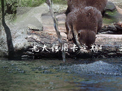 光大信用卡逾期4萬五