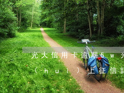 光大信用卡逾期5w(光大信用卡逾期5天會(huì)上征信記錄嗎)