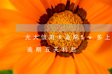 光大信用卡逾期5w多上海 光大信用卡7萬逾期五天利息