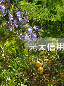 光大信用卡逾期5千(光大逾期5萬以上)