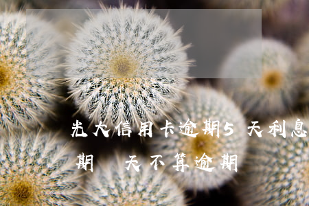 光大信用卡逾期5天利息(光大銀行信用卡逾期幾天不算逾期)