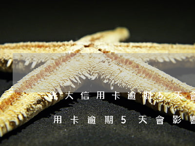 光大信用卡逾期5天會影響征信嗎-光大信用卡逾期5天會影響征信嗎知乎