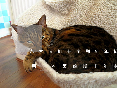 光大信用卡逾期5年協(xié)商 光大信用卡4萬逾期半年多