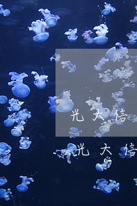 光大信用卡逾期6個月怎么協(xié)商(光大信用卡逾期6個月怎么協(xié)商分期還款)