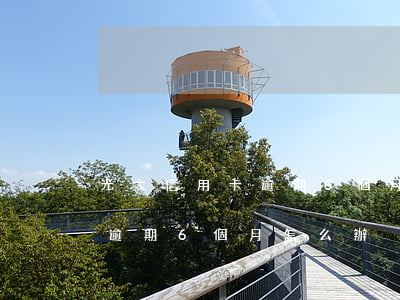光大信用卡逾期6個月怎么辦了（光大信用卡逾期6個月怎么辦）