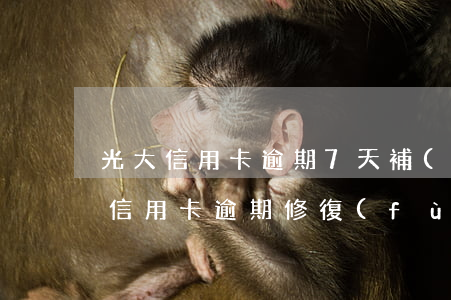 光大信用卡逾期7天補(bǔ)救(光大銀行信用卡逾期修復(fù))
