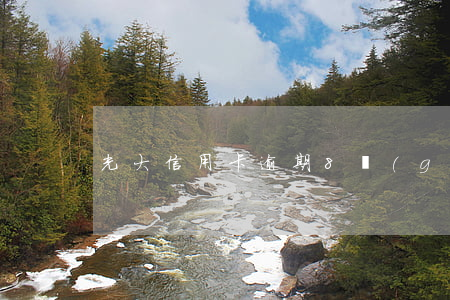 光大信用卡逾期8個(gè)月怎么辦
