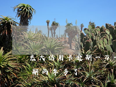 光大信用卡逾期一万一年(光大银行信用卡逾期两年多了)