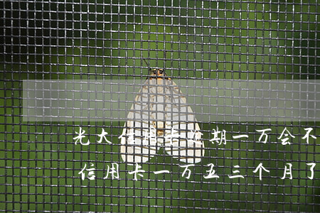 光大信用卡逾期一万会不会上门 欠光大银行信用卡一万五三个月了会怎么样