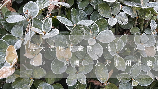 光大信用卡逾期一個(gè)月可以協(xié)商嗎-光大信用卡逾期一個(gè)月可以協(xié)商嗎