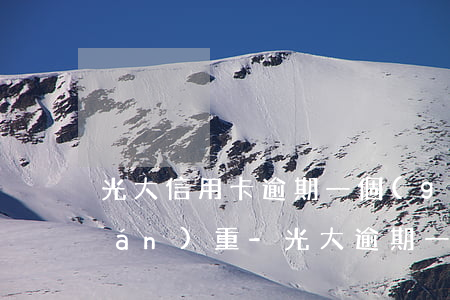 光大信用卡逾期一個(gè)月后果嚴(yán)重-光大逾期一個(gè)月會(huì)讓還全款嗎