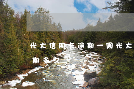 光大信用卡逾期一周(光大銀行信用卡5萬逾期多久)