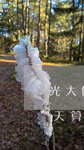 光大信用卡 逾期一天（光大銀行信用卡過多少天算逾期）