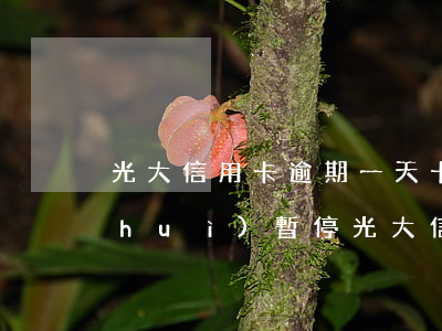 光大信用卡逾期一天卡會(huì)不會(huì)暫停(光大信用卡逾期一天卡會(huì)不會(huì)暫停)