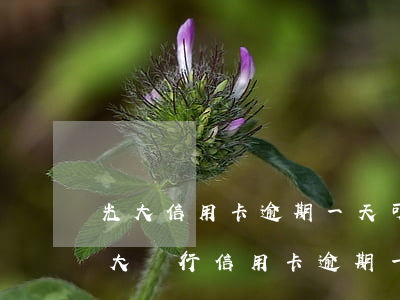 光大信用卡逾期一天可以還最低還款嗎-光大銀行信用卡 逾期一天有沒(méi)有影響?