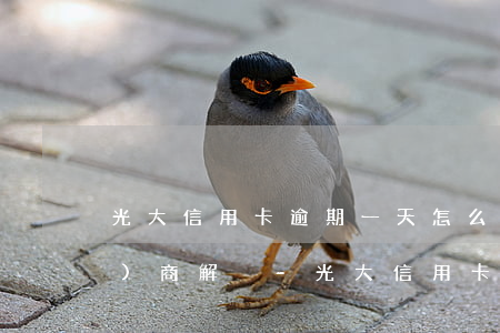 光大信用卡逾期一天怎么跟銀行協(xié)商解決-光大信用卡逾期一天怎么跟銀行協(xié)商解決呢