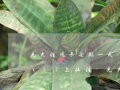 光大信用卡逾期一天會(huì)不會(huì)上征信-光大信用卡逾期一天會(huì)不會(huì)上征信記錄